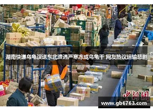 湖南快递乌龟误送东北遭遇严寒冻成乌龟干 网友热议运输悲剧