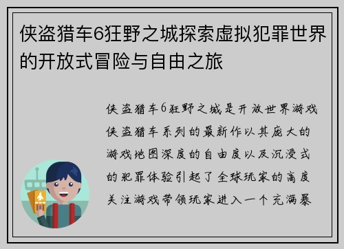 侠盗猎车6狂野之城探索虚拟犯罪世界的开放式冒险与自由之旅
